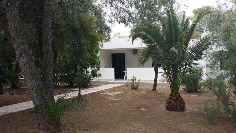 Villaggio Sabbiadoro Вьесте Номер фото